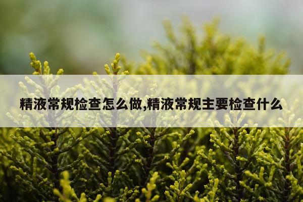 精液常规检查怎么做,精液常规主要检查什么