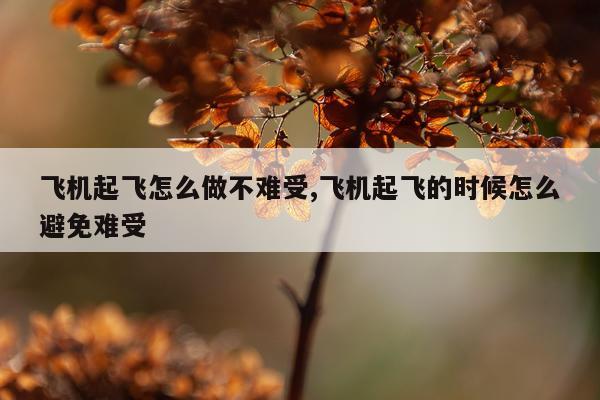 飞机起飞怎么做不难受,飞机起飞的时候怎么避免难受
