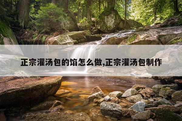 正宗灌汤包的馅怎么做,正宗灌汤包制作