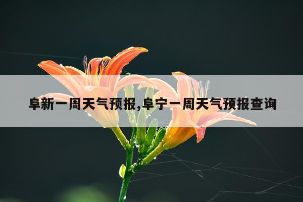阜新一周天气预报,阜宁一周天气预报查询