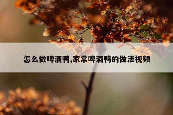怎么做啤酒鸭,家常啤酒鸭的做法视频
