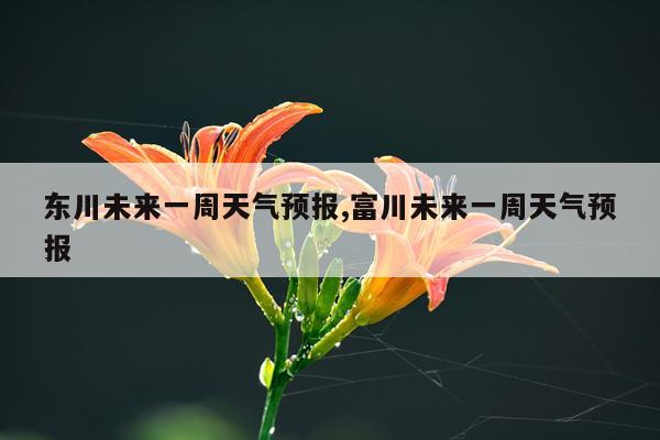 东川未来一周天气预报,富川未来一周天气预报