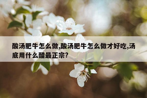 酸汤肥牛怎么做,酸汤肥牛怎么做才好吃,汤底用什么醋最正宗?