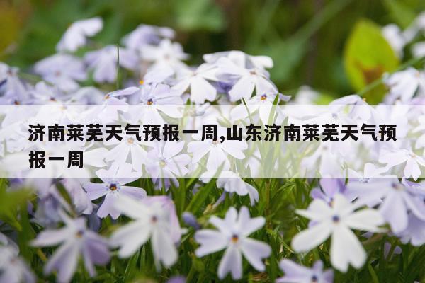 济南莱芜天气预报一周,山东济南莱芜天气预报一周