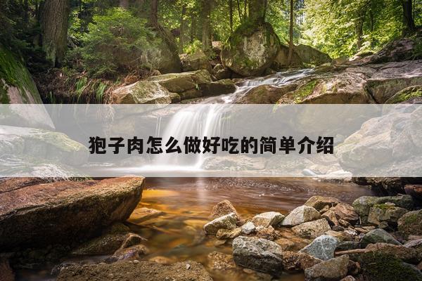 狍子肉怎么做好吃的简单介绍