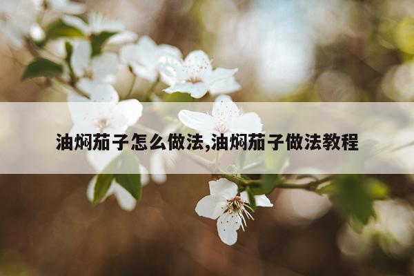 油焖茄子怎么做法,油焖茄子做法教程
