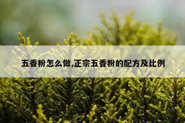 五香粉怎么做,正宗五香粉的配方及比例