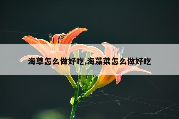 海草怎么做好吃,海藻菜怎么做好吃