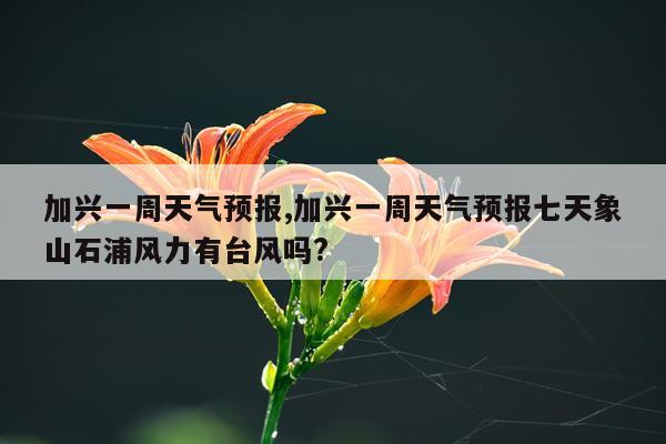 加兴一周天气预报,加兴一周天气预报七天象山石浦风力有台风吗?